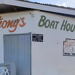 book here